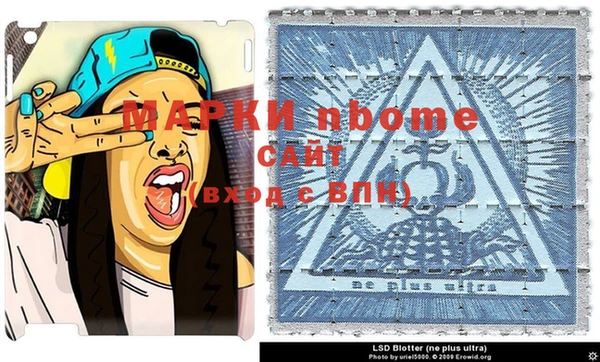 крисы Аша
