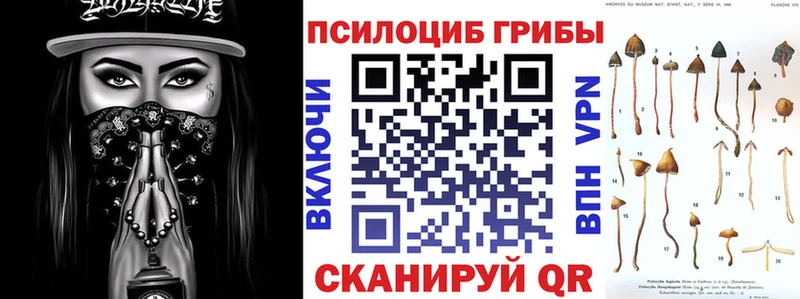 Псилоцибиновые грибы Magic Shrooms  гидра ссылка  Инза 